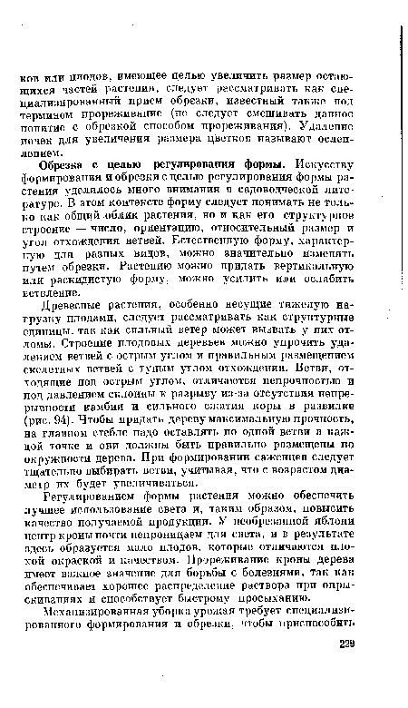 Древесные растения, особенно несущие тяжелую нагрузку плодами, следует рассматривать как структурные единицы, так как сильный ветер может вызвать у них от-ломы. Строение плодовых деревьев можно упрочить удалением ветвей с острым углом и правильным размещением скелетных ветвей с тупым углом отхождения. Ветви, отходящие под острым углом, отличаются непрочностью и под давлением склонны к разрыву из-за отсутствия непрерывности камбия и сильного сжатия коры в развилке (рис. 94). Чтобы придать дереву максимальную прочность, на главном стебле надо оставлять по одной ветви в каждой точке и они должны быть правильно размещены по окружности дерева. При формировании саженцев следует тщательно выбирать ветви, учитывая, что с возрастом диаметр их будет увеличиваться.