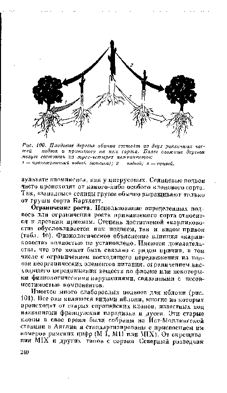 Симс 3 с ограничением в 30 кадров что это значит