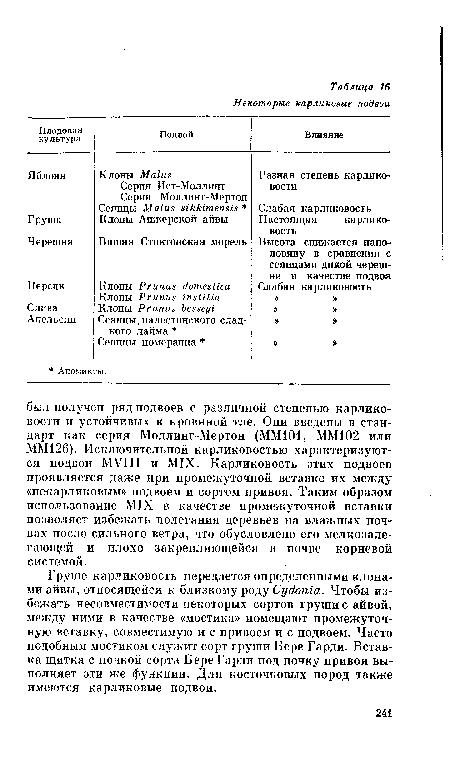 Груше карликовость передается определенными клонами айвы, относящейся к близкому роду Cydonia. Чтобы избежать несовместимости некоторых сортов груши с айвой, между ними в качестве «мостика» помещают промежуточную вставку, совместимую и с привоем и с подвоем. Часто подобным мостиком служит сорт груши Бере Гарди. Вставка щитка с почкой сорта Бере Гарди под почку привоя выполняет эти же функции. Для косточковых пород также имеются карликовые подвои.