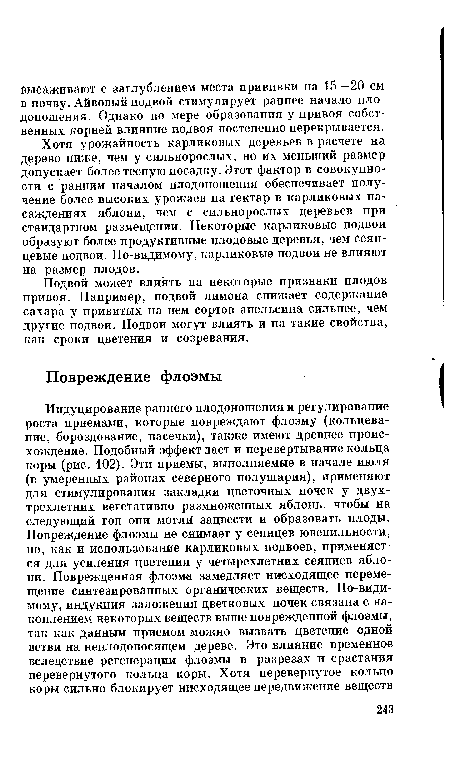 Хотя урожайность карликовых деревьев в расчете на дерево ниже, чем у сильнорослых, но их меньший размер допускает более тесную посадку. Этот фактор в совокупности с ранним началом плодоношения обеспечивает получение более высоких урожаев на гектар в карликовых насаждениях яблони, чем с сильнорослых деревьев при стандартном размещении. Некоторые карликовые подвои образуют более продуктивные плодовые деревья, чем сеян-цевые подвои. По-видимому, карликовые подвои не влияют на размер плодов.