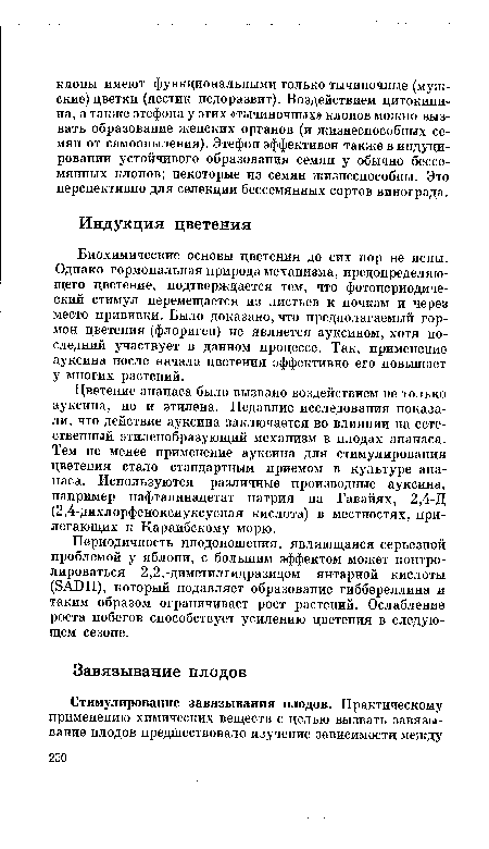 Цветение ананаса было вызвано воздействием не только ауксина, но и этилена. Недавние исследования показали, что действие ауксина заключается во влиянии на естественный этиленобразующий механизм в плодах ананаса. Тем не менее применение ауксина для стимулирования цветения стало стандартным приемом в культуре ананаса. Используются различные производные ауксина, например нафталинацетат натрия на Гавайях, 2,4-Д (2,4-дихлорфеноксиуксусная кислота) в местностях, прилегающих к Караибскому морю.