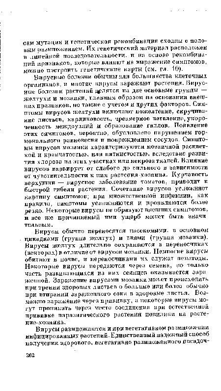 Вирусные болезни обычны для большинства клеточных организмов, и многие вирусы заражают растения. Вирусные болезни растений делятся на две основные группы — желтухи и мозаики, главным образом на основании внешних празнаков, но также с учетом и других факторов. Симптомы вирусов желтухи включают пожелтение, скручивание листьев, карликовость, чрезмерное ветвление, укоро-ченность междоузлий и образование галлов. Появление этих симптомов, вероятно, обусловлено нарушением гормонального равновесия и повреждением сосудов. Симптомы вирусов мозаики характеризуются мозаичной расцветкой и крапчатостью, или пятнистостью, вследствие развития хлороза на этих участках или некроза тканей. Влияние вирусов варьирует от слабого до сильного в зависимости от чувствительности к ним растения-хозяина. Курчавость верхушки — вирусное заболевание томатов, приводит к быстрой гибели растения. Сочетание вирусов усложняет картину симптомов; при множественной инфекции, как правило, симптомы усложняются и проявляются более резко. Некоторые вирусы не образуют внешних симптомов, й все же причиняемый ими ущерб может быть значительным.