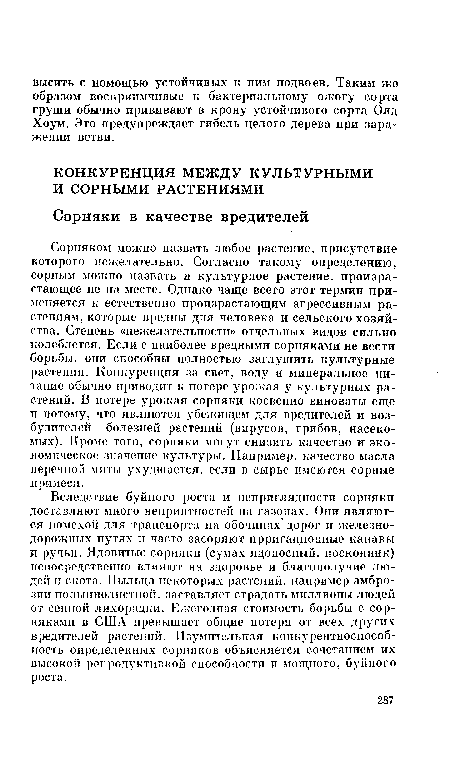 Сорняком можно назвать любое растение, присутствие которого нежелательно. Согласно такому определению, сорным можно назвать н культурное растение, произрастающее не на месте. Однако чаще всего этот термин применяется к естественно произрастающим агрессивным растениям, которые вредны для человека и сельского хозяйства. Степень «нежелательности» отдельных видов сильно колеблется. Если с наиболее вредными сорняками не вести борьбы, они способны полностью заглушить культурные растения. Конкуренция за свет, воду и минеральное питание обычно приводит к потере урожая у культурных растений. В потере урожая сорняки косвенно виноваты еще и потому, что являются убежищем для вредителей и возбудителей болезней растений (вирусов, грибов, насекомых). Кроме того, сорняки могут снизить качество и экономическое значение культуры. Например, качество масла неречной мяты ухудшается, если в сырье имеются сорные примеси.