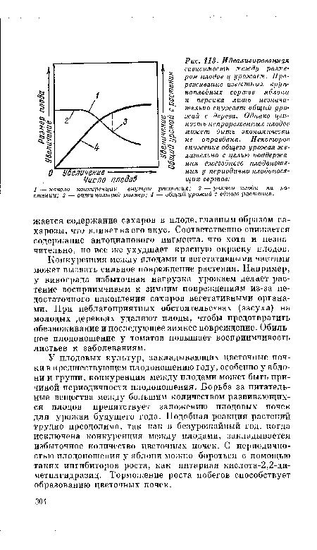 Конкуренция между плодами и вегетативными частями может вызвать сильное повреждение растения. Например, у винограда избыточная нагрузка урожаем делает растение восприимчивым к зимним повреждениям из-за недостаточного накопления сахаров вегетативными органами. При неблагоприятных обстоятельствах (засуха) на молодых деревьях удаляют плоды, чтобы предотвратить обезвоживание и последующее зимнее повреждение. Обильное плодоношение у томатов повышает восприимчивость листьев к заболеваниям.