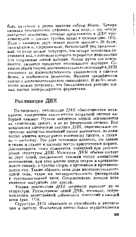 По-видимому, репликация ДНК обеспечивается механизмом, совершенно аналогичным матричной системе наборной машины. Однако матричная модель основывается на химических связях, а не на физическом оттиске. Как показывают химические анализы ДНК, относительное количество азотистых оснований может изменяться, но количество аденина всегда равно количеству тимина, а гуанина — цитозину. Это дает основание полагать, что аденин и тимин и гуанин и цитозин всегда присутствуют парами. Достоверность этого становится очевидной при рассмотрении структуры ДНК. Молекула ДНК обычно состоит из двух цепей, соединенных связями между азотистыми основаниями, при этом аденин всегда спарен и противоположен тимину, а гуанин спарен с цитозином и противоположен ему. Таким образом, если дана последовательность одной цепи, такая же последовательность фиксирована в противоположной цепи. Следовательно, каждая цепь является «матрицей» для другой.