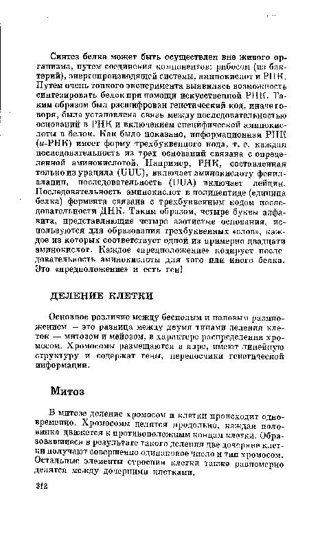 Основное различие между бесполым и половым размножением — это разница между двумя типами деления клеток — митозом и мейозом, в характере распределения хромосом. Хромосомы размещаются в ядре, имеют линейную структуру и содержат гены, переносчики генетической информации.