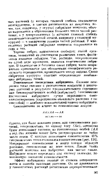 Однако, как было показано ранее, при самоопылении растений, гетерозиготных по одному гену (Аа), потомство будет наполовину состоять из гомозиготных особей (АА иао).Это явление может быть распространено на любое число генов. С каждым поколением самоопыления 50% гетерозиготных генов становятся гомозоготными (рис. 134). Непрерывное самоопыление в конце концов образует растения, гомозиготные по всем генам. Линии таких растений известны как инбредные, или чистые линии. Инбридинг можно определить как систему селекции, повышающую состояние гомозиготности.