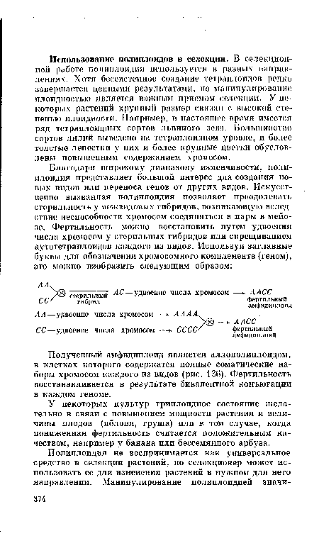 У некоторых культур триплоидное состояние желательно в связи с повышением мощности растения и величины плодов (яблоня, груша) или в том случае, когда пониженная фертильность считается положительным качеством, например у банана или бессемянного арбуза.