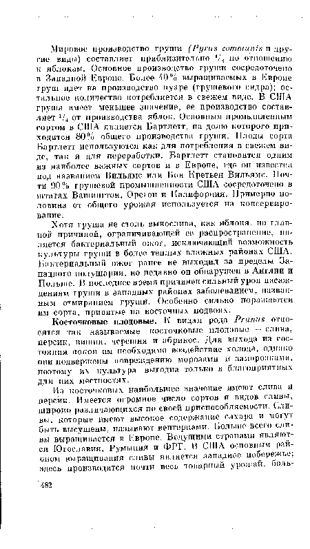 Косточковые плодовые. К видам рода Prunus относятся так называемые косточковые плодовые — слива, персик, вишня, черешня и абрикос. Для выхода из состояния покоя им необходимо воздействие холода, однако они подвержены повреждению морозами и заморозками, поэтому их культура выгодна только в благоприятных для них местностях.