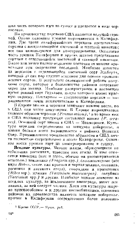 По производству персиков США является ведущей страной. Около половины урожая выращивается в Калифорнии. Две трети калифорнийских персиков представлено сортами с неотделяющейся косточкой и плотной мякотью; все они используются для консервирования. Остальная часть урожая Калифорнии и других штатов представлена сортами с отделяющейся косточкой и «тающей мякотью». Более или менее полное отделение косточки от мякоти происходит при созревании последней. Наиболее известен из персиков с отделяющейся косточкой сорт Эльберта, который до сих пор служит эталоном для оценки промышленных сортов. В результате селекционной работы получены сорта, которые в большинстве районов созревают через два месяца. Наиболее распространен в настоящее время ранний сорт Редхавеп, плоды которого имеют красную окраску. Нектарины — гладкокожие персики — выращиваются почти исключительно в Калифорнии.