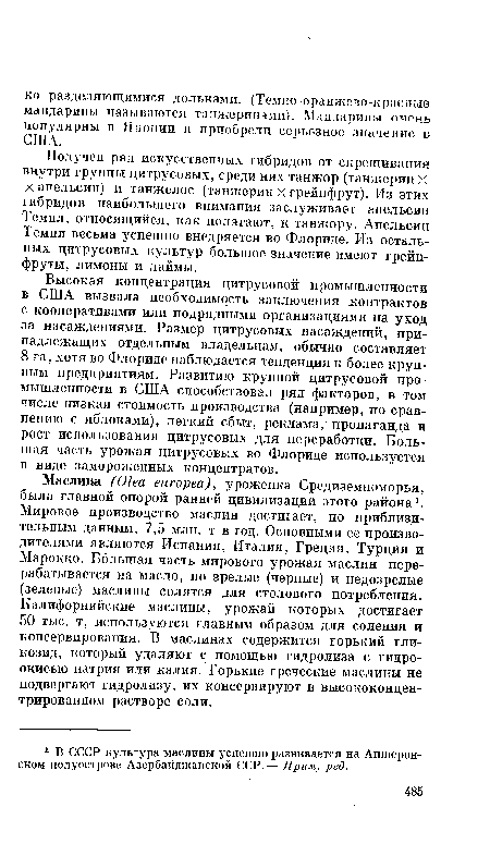 Маслина (Olea europea), уроженка Средиземноморья, была главной опорой ранней цивилизации этого района1. Мировое производство маслин достигает, по приблизительным данным, 7,5 млн. т в год. Основными ее производителями являются Испания, Италия, Греция, Турция и Марокко. Большая часть мирового урожая маслин перерабатывается на масло, но зрелые (черные) и недозрелые (зеленые) маслины солятся для столового потребления. Калифорнийские маслины, урожай которых достигает 50 тыс. т, используются главным образом для соления и консервирования. В маслинах содержится горький гли-козид, который удаляют с помощью гидролиза с гидроокисью натрия или калия. Горькие греческие маслины не подвергают гидролизу, их консервируют в высококонцентрированном растворе соли.