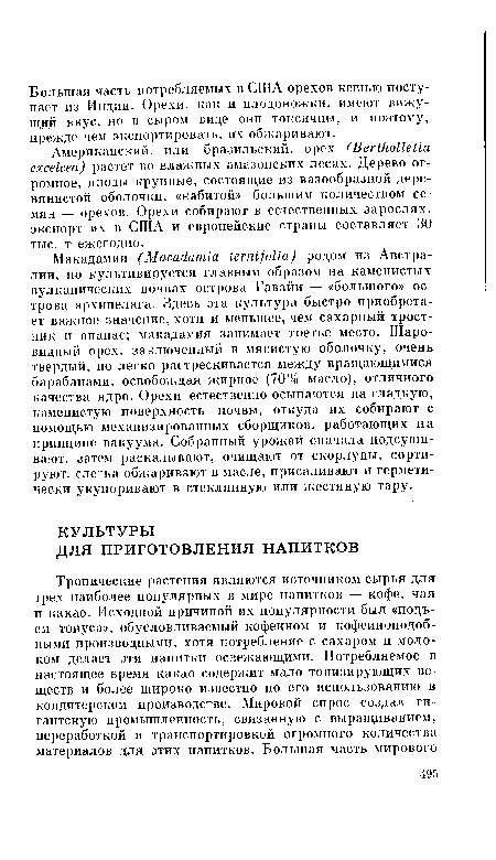 Макадамия (Macad-amia terni folia) родом из Австралии, но культивируется главным образом на каменистых вулканических почвах острова Гавайи — «большого» острова архипелага. Здесь эта культура быстро приобретает важное значение, хотя и меньшее, чем сахарный тростник и ананас; макадамия занимает третье место. Шаровидный орех, заключенный в мясистую оболочку, очень твердый, но легко растрескивается между вращающимися барабанами, освобождая жирное (70% масло), отличного качества ядро. Орехи естественно осыпаются на гладкую, каменистую поверхность почвы, откуда их собирают с помощью механизированных сборщиков, работающих на принципе вакуума. Собранный урожай сначала подсушивают, затем раскалывают, очищают от скорлупы, сортируют, слегка обжаривают в масле, присаливают и герметически укупоривают в стеклянную или жестяную тару.