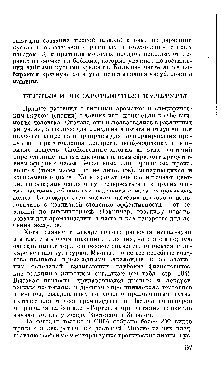 Пряные растения с сильным ароматом и специфическим вкусом (специи) с давних пор привлекли к себе внимание человека. Сначала они использовались в различных ритуалах, а позднее для придания аромата и отдушки как вкусовые вещества и приправы для консервирования продуктов, приготовления лекарств, возбуждающих и ядовитых веществ. Свойственные многим из этих растений определенные запахи связаны главным образом с присутствием эфирных масел, бензольных или терпеновых производных (тоже масел, но не липоидов), испаряющихся и воспламеняющихся. Хотя аромат обычно источают цветки, но эфирные масла могут содержаться и в других частях растения, обычно как выделения специализированных желез. Благодаря этим маслам растения широко использовались с различной степенью эффективности — от реальной до вымышленной. Например, гвоздику использовали для ароматизации, а часто и как лекарство для лечения желудка.