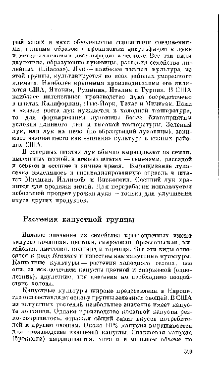 В северных штатах лук обычно выращивают из семян, высеянных весной, в южных штатах — семенами, рассадой и севком в осеннее и зимнее время. Выращивание лука-севка выделилось в специализированную отрасль в штатах Мичиган, Иллинойс и Висконсин. Осенний лук хранится для продажи зимой. Для переработки используется небольшой процент урожая лука — только для улучшения вкуса других продуктов.