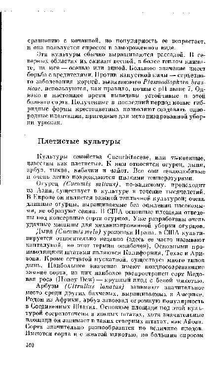 Культуры семейства Ciicurbitaceae, или тыквенные, известны как плетистые. К ним относятся огурец, дыня, арбуз, тыква, кабачки и чайот. Все они теплолюбивые и очень легко повреждаются низкими температурами.