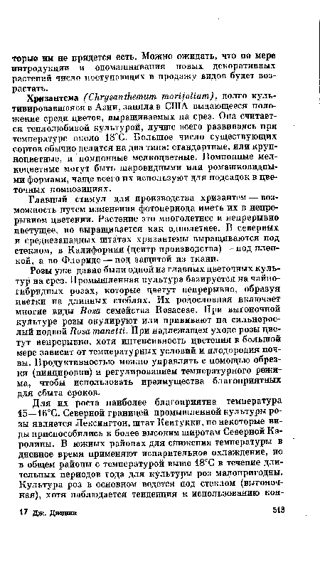 Розы уже давно были одной из главных цветочных культур на срез. Промышленная культура базируется на чайногибридных розах, которые цветут непрерывно, образуя цветки на длинных стеблях. Их родословная включает многие виды Rosa семейства Rosaceae. При выгоночной культуре розы окулируют или прививают на сильнорослый подвой Rosa manetti. При надлежащем уходе розы цветут непрерывно, хотя интенсивность цветения в большой мере зависит от температурных условий и плодородия почвы. Продуктивностью можно управлять с помощью обрезки (пинцировки) и регулированием температурного режима, чтобы использовать преимущества благоприятных для сбыта сроков.