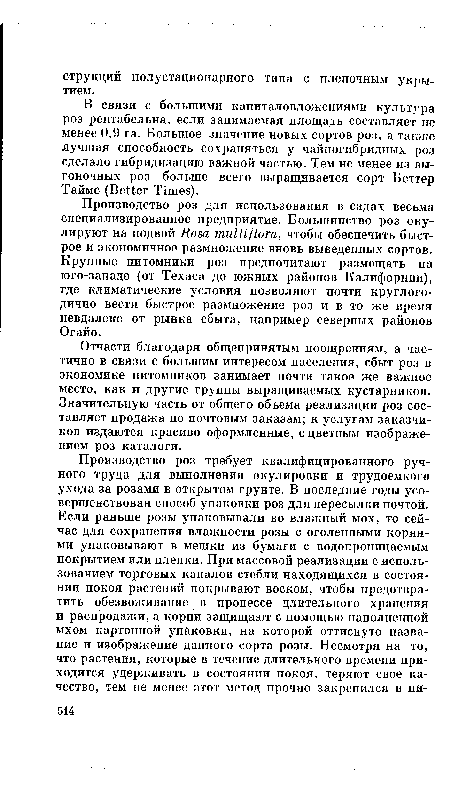 Производство роз для использования в садах весьма специализированное предприятие. Большинство роз окулируют на подвой Rosa multiflora, чтобы обеспечить быстрое и экономичное размножение вновь выведенных сортов. Крупные питомники роз предпочитают размещать на юго-западе (от Техаса до южных районов Калифорнии), где климатические условия позволяют почти круглогодично вести быстрое размножение роз и в то же время невдалеке от рынка сбыта, например северных районов Огайо.