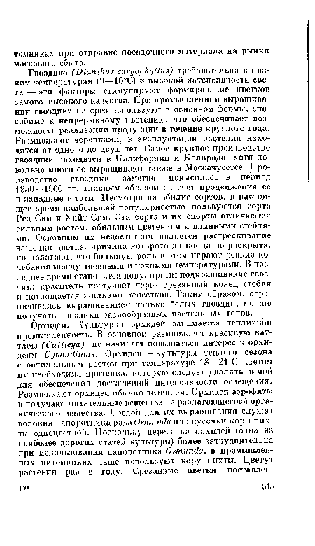 Гвоздика (01апЛи.ч сагуоркуНи ) требовательна к низким температурам (9—10°С) и высокой интенсивности света — эти факторы стимулируют формирование цветков самого высокого качества. При промышленном выращивании гвоздики на срез используют в основном формы, способные к непрерывному цветению, что обеспечивает возможность реализации продукции в течение круглого года. Размножают черенками, в эксплуатации растения находятся от одного до двух лет. Самое крупное производство гвоздики находится в Калифорнии и Колорадо, хотя довольно много ее выращивают также в Массачусетсе. Производство гвоздики заметно повысилось в период 1950—1960 гг. главным образом за счет продвижения ее в западные штаты. Несмотря на обилие сортов, в настоящее время наибольшей популярностью пользуются сорта Ред Сим и Уайт Сим. Эти сорта и их спорты отличаются сильным ростом, обильным цветением и длинными стеблями. Основным их недостатком является растрескивание чашечки цветка, причина которого до конца не раскрыта, но полагают, что большую роль в этом играют резкие колебания между дневными и ночными температурами. В последнее время становится популярным подкрашивание гвоздик: краситель поступает через срезанный конец стебля и поглощается жилками лепестков. Таким образом, ограничиваясь выращиванием только белых гвоздик, можно получать гвоздики разнообразных пастельных тонов.