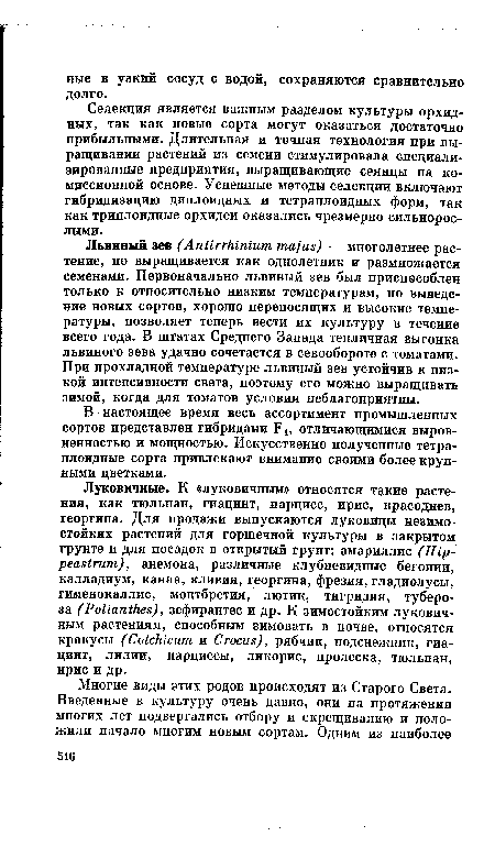 Селекция является важным разделом культуры орхидных, так как новые сорта могут оказаться достаточно прибыльными. Длительная и точная технология при выращивании растений из семени стимулировала специализированные предприятия, выращивающие сеянцы на комиссионной основе. Успешные методы селекции включают гибридизацию диплоидных и тетраплоидных форм, так как триплоидные орхидеи оказались чрезмерно сильнорослыми.