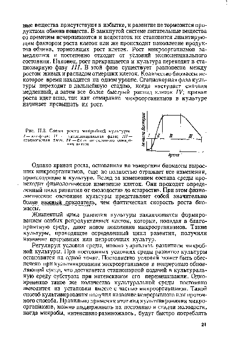 Схема роста микробной культуры