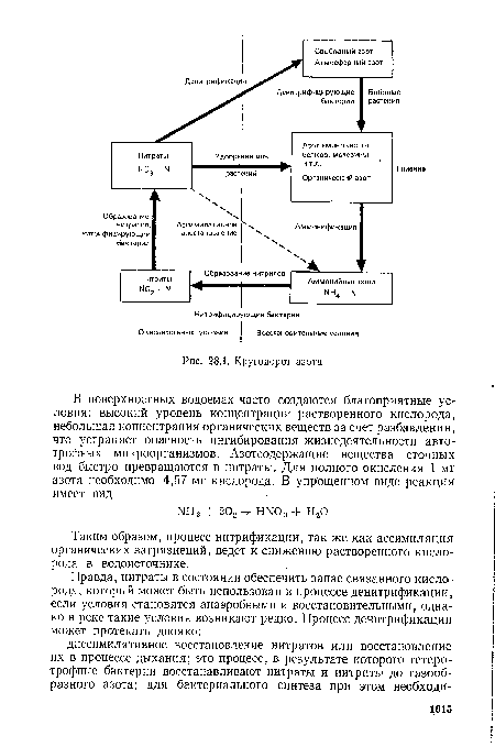 Круговорот азота