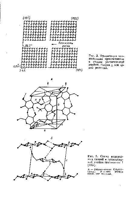 Ориентация целлюлозных кристаллитов в стенке растительной ячейки. Разрез _1_ оси цепей решетки.