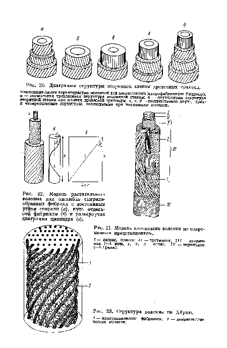 Модель растительного волокна как ансамбль спиралеобразных фибрилл с постоянным углом спирали (а), путь отдельной фибриллы (б) и развернутая диаграмма цилиндра (в).