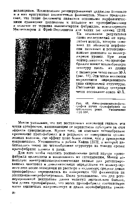 Электронномикрофото-графия пучка протофибрилл из целлюлозы рами. Увеличение X 34 ООО.