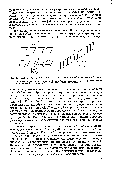 Схема предположительной морфологии протофибриллы по Мэнли.