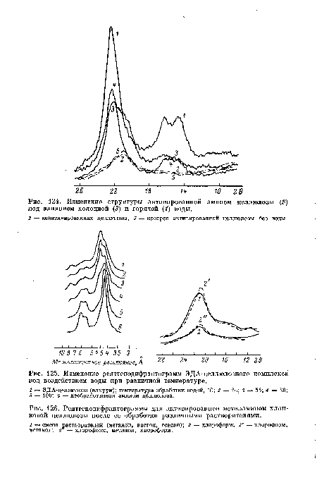 Изменение структуры активированной амином целлюлозы (2) под влиянием холодной (3) и горячей (4) воды.