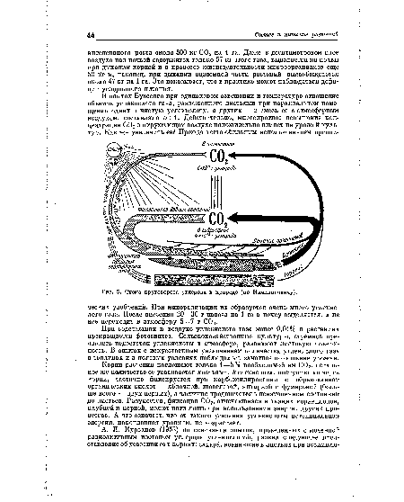 Схема круговорота углерода в природе (по Ничипоровичу).