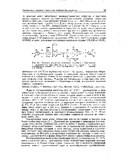 Строение молекулы гуминовой кислоты (по Драгунову)