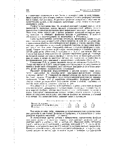 Даже крупносемянные культуры (кукуруза, хлопчатник) сравнительно скоро после всходов исчерпывают запасы фосфора; и если его не добавлено с припосевным удобрением в легкоусвояемой форме, а в почве имеется слишком мало растворимых в воде солей фосфорной кислоты, то проростки могут замедлить рост или даже обнаружить внешние симптомы фосфорного голодания. Хлопчатник полностью расходует запасы фосфора в семенах в первые 10—20 дней роста (Мачигин), а кукуруза — в первые две недели. Именно в это время иногда обнаруживаются признаки недостатка фосфора, несмотря на большой резерв доступного фосфора в почве, если на некотором расстоянии от семян в почве не окажется небольшого количества легкоусвояемой фосфорнокислой соли, внесенной с припосевным удобрением (Уоллес).