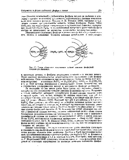 Схема обменного поглощения почвой анионов фосфорной кислоты (по Иванову).