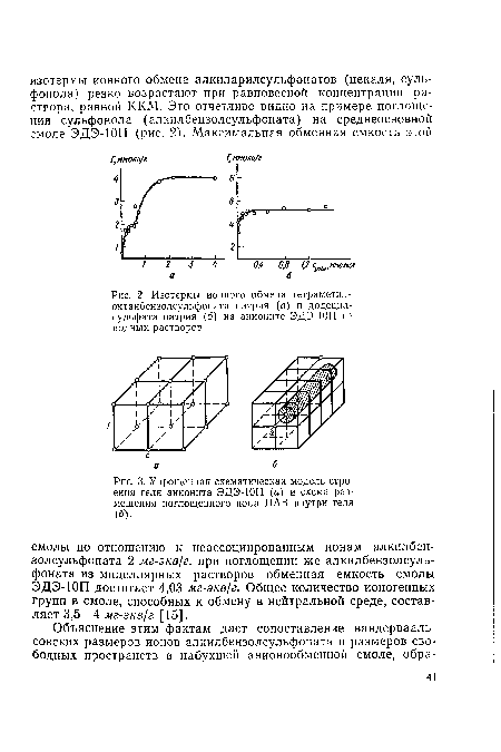 Упрощенная схематическая модель строения геля анионита ЭДЭ-10П (а) и схема размещения поглощенного иона ПАВ внутри геля (б).