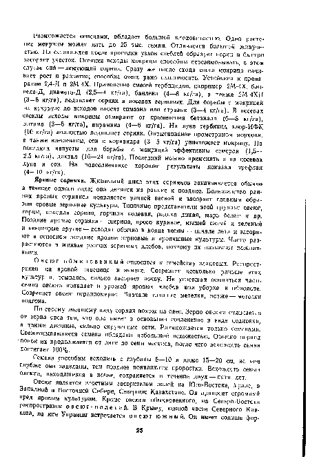 Овсюг обыкновенный относится к семейству злаковых. Распространен на яровой пшенице и ячмене. Созревает несколько раньше этих культур н, осыпаясь, сильно засоряет почву. Не успевшая осыпаться часть семян овсюга попадает в урожай яровых хлебов при уборке и обмолоте. Созревает овсюг неравномерно. Вначале главные метелки, позже — метелки подгона.