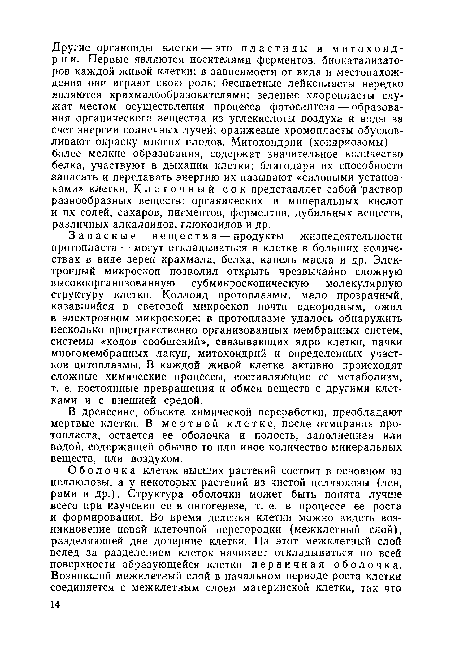 В древесине, объекте химической переработки, преобладают мертвые клетки. В мертвой клетке, после отмирания протопласта, остается ее оболочка и полость, заполненная или водой, содержащей обычно то или иное количество минеральных веществ, или воздухом.