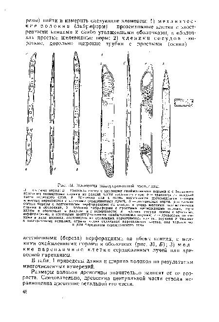 Элементы мацерированной древесины