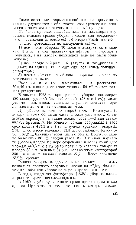 Из более простых способов защиты помидоров изучалось влияние сроков уборки плодов для сохранения их от поражения фитофторой и бактериальной гнилью.