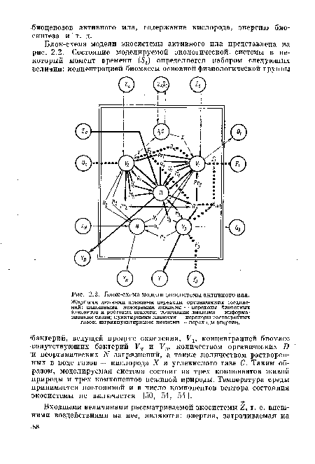 Блок-схема модели экосистемы активного ила.