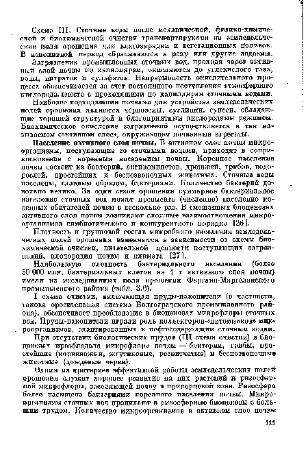 При отсутствии биологических прудов (III схема очистки) в биоценозах преобладала микрофлора почвы — бактерии, грибы, простейшие (корненожки, жгутиковые, реснитчатые) и беспозвоночные животные (дождевые черви).