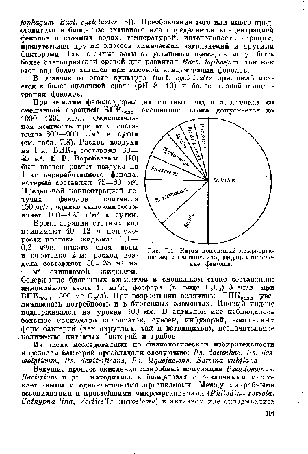 Карта популяций микроорганизмов активного ила, ведущих окисление фенолов.