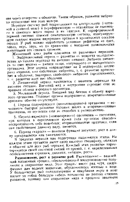 В пределах периода или подпериода выделяются этапы. На каждом этапе организм имеет свою видовую специфику, обладая и общими для всех рыб чертами. Каждый этап развития характеризуется своей системой связей со средой, т. е. определенными особенностями строения, дыхания, питания, роста.