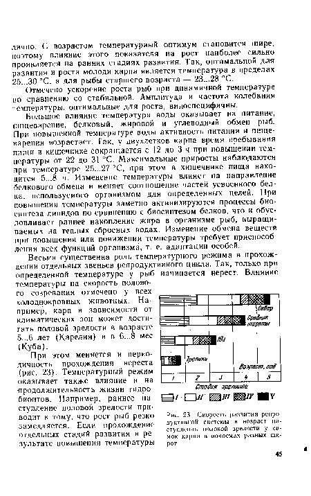 Скорость развития репродуктивной системы и возраст наступления половой зрелости у самок карпа в водоемах разных широт