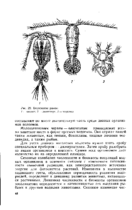 Веслоногие рачки