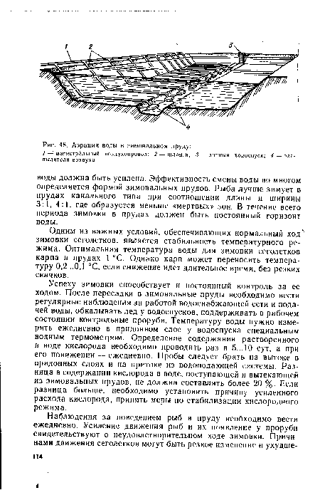 Одним из важных условий, обеспечивающих нормальный ход- зимовки сеголетков, является стабильность температурного режима. Оптимальная температура воды для зимовки сеголетков карпа в прудах 1 °С. Однако карп может переносить темпера-туру 0,2...0,1 °С, если снижение идет длительное время, без резких скачков.