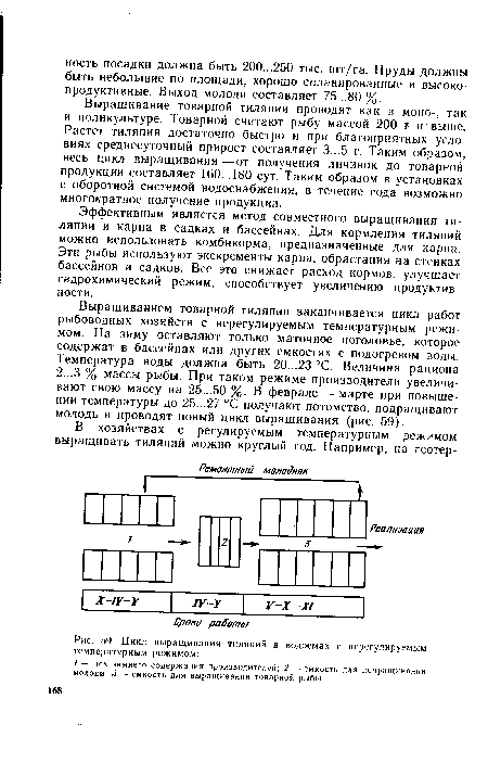 Цикл выращивания тиляпий в водоемах с нерегулируемым температурным режимом