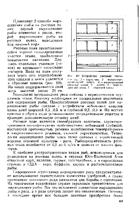 Устройство рисовых чеков