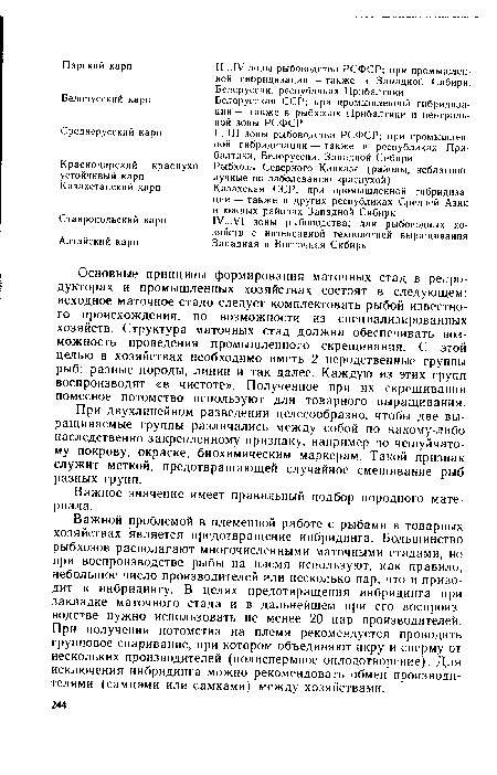 Важной проблемой в племенной работе с рыбами в товарных хозяйствах является предотвращение инбридинга. Большинство рыбхозов располагают многочисленными маточными стадами, но при воспроизводстве рыбы на племя используют, как правило, небольшое число производителей или несколько пар, что и приводит к инбридингу. В целях предотвращения инбридинга при закладке маточного стада и в дальнейшем при его воспроизводстве нужно использовать не менее 20 пар производителей. При получении потомства на племя рекомендуется проводить групповое спаривание, при котором объединяют икру и сперму от нескольких производителей (полиспермное оплодотворение). Для исключения инбридинга можно рекомендовать обмен производителями (самцами или самками) между хозяйствами.