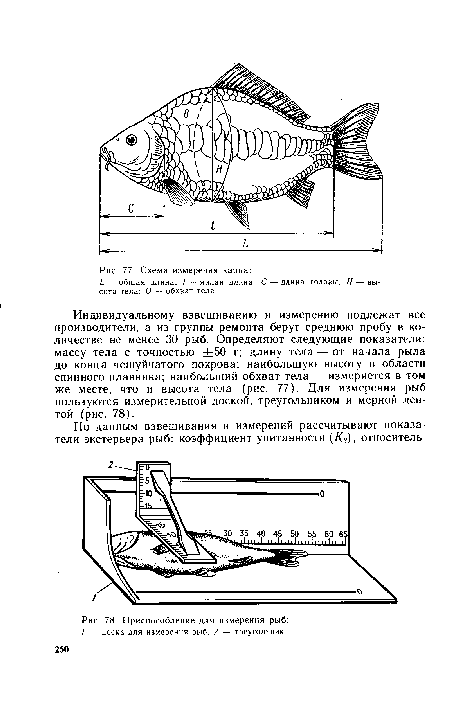 Приспособление для измерения рыб